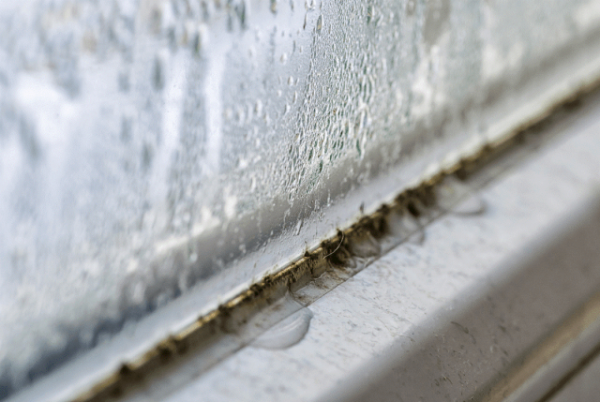 Плесень на пластиковых окнах: как избавиться, чем отмыть, причины появления на откосах, подоконниках, в углах